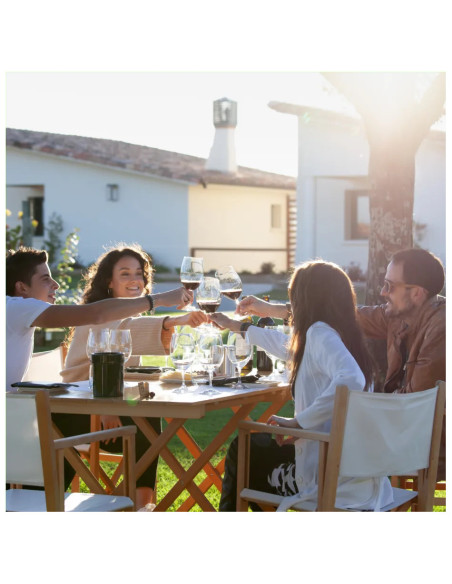 Visita al viñedo de Finca La Emperatriz y cata de vinos