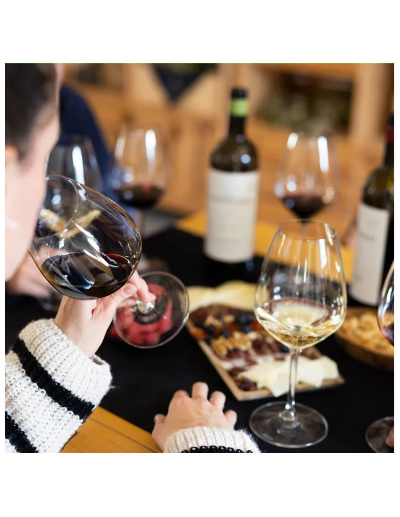 Visita al viñedo de Finca La Emperatriz y cata de vinos