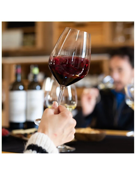 Visita al viñedo de Finca La Emperatriz y cata de vinos