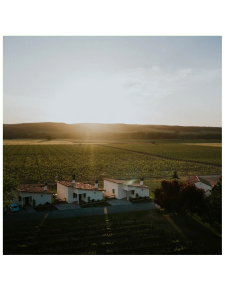 Visita y cata a Finca La Emperatriz