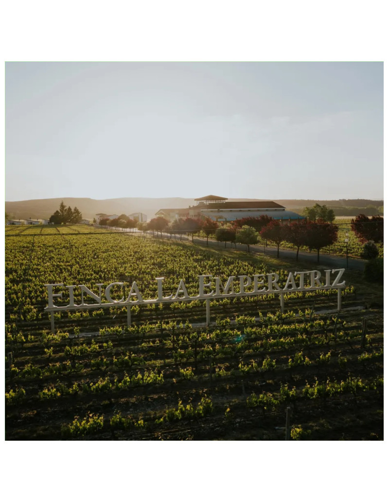 Tour and typical Rioja meal