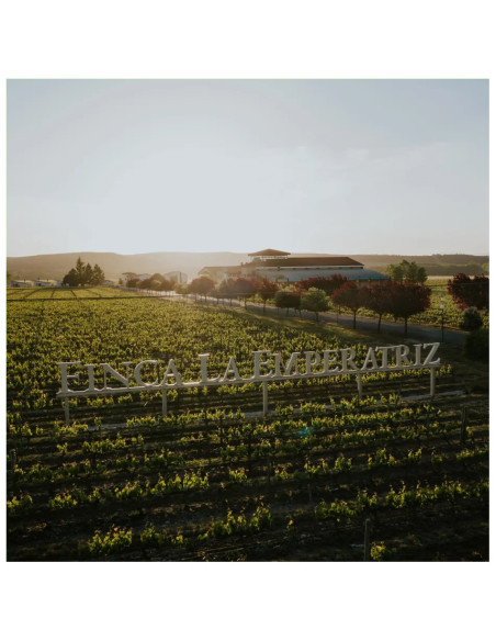 Visita al viñedo cata de vinos y almuerzo riojano Finca La Emperatriz