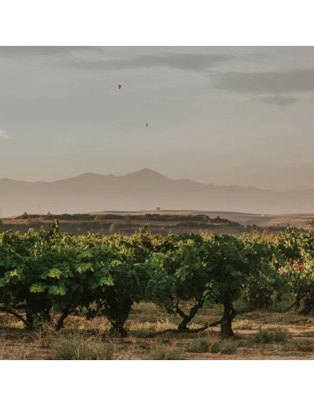 Experiencia Premium Guardacumbres