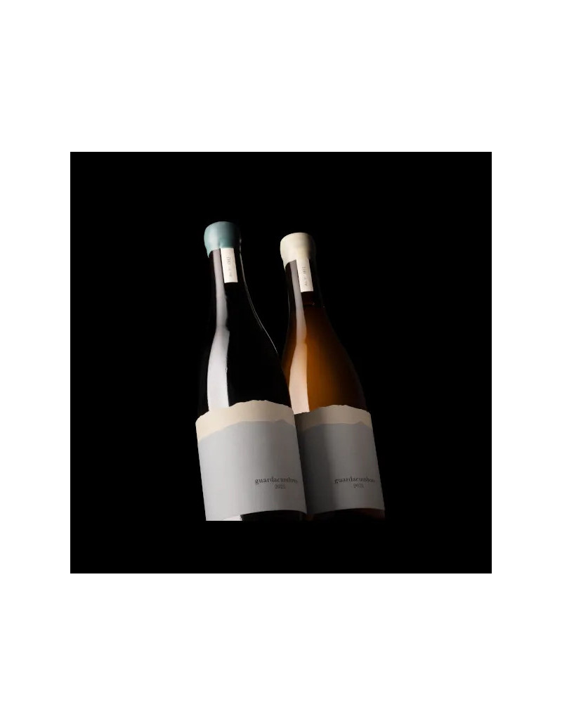 Experiencia Premium Guardacumbres