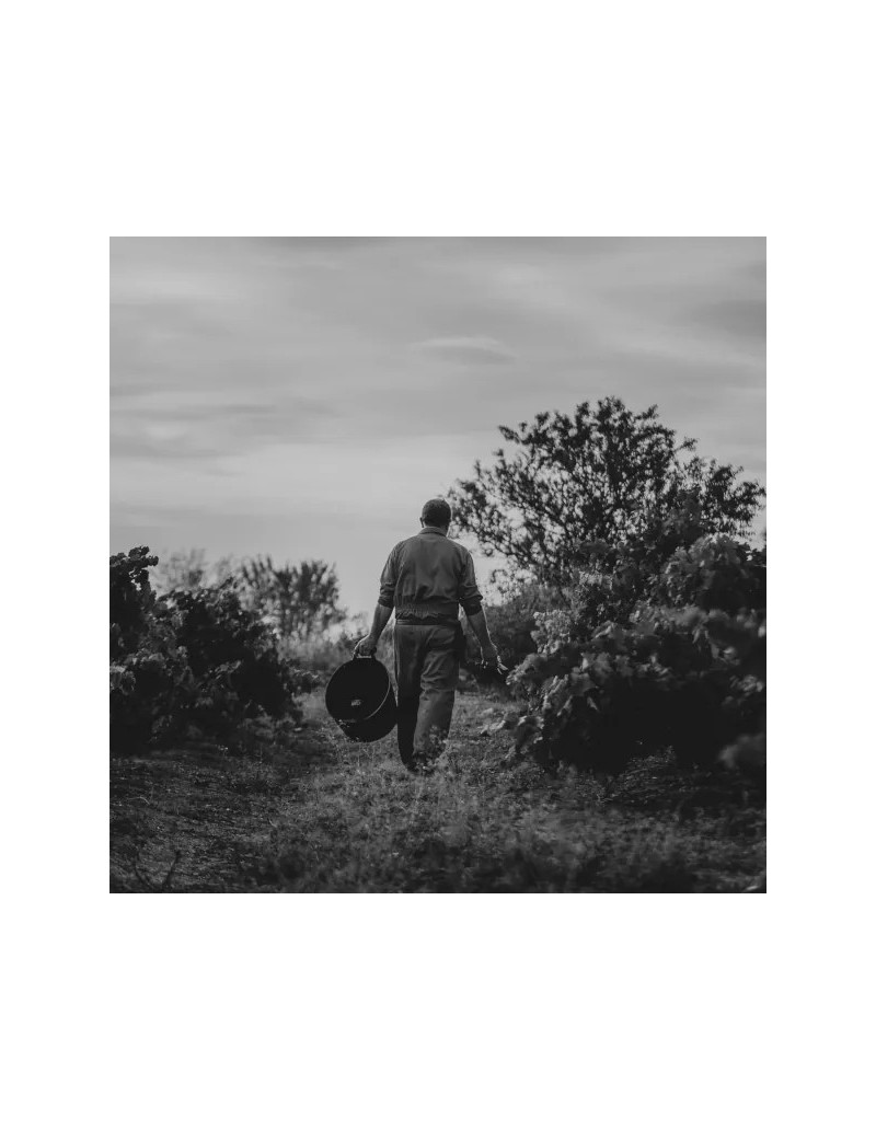 Experiencia Premium Guardacumbres