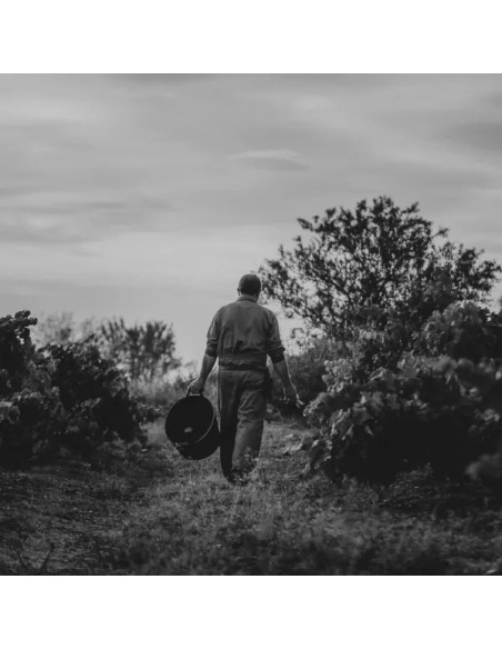 Experiencia Premium Guardacumbres