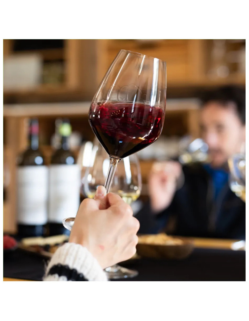Guided vineyard tour at Finca La Emperatriz