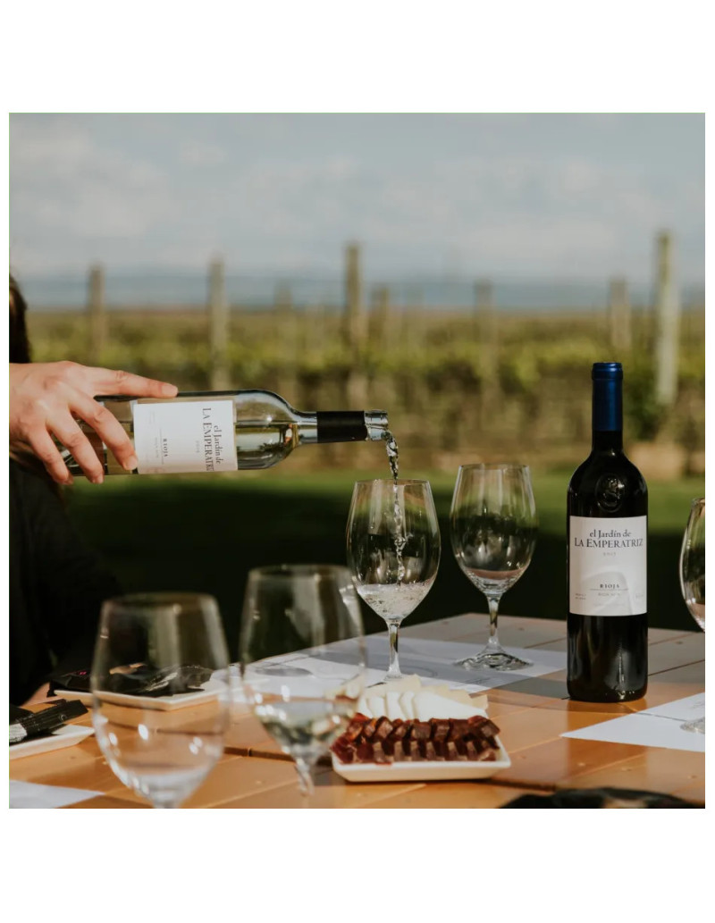 Guided vineyard tour at Finca La Emperatriz