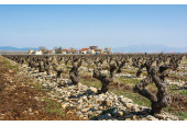 Bodega Finca La Emperatriz