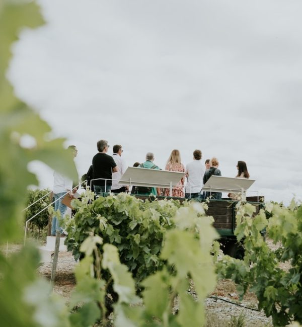 WORLDBESTVINEYARDS2023_-52 (2) (1) (1) (2)